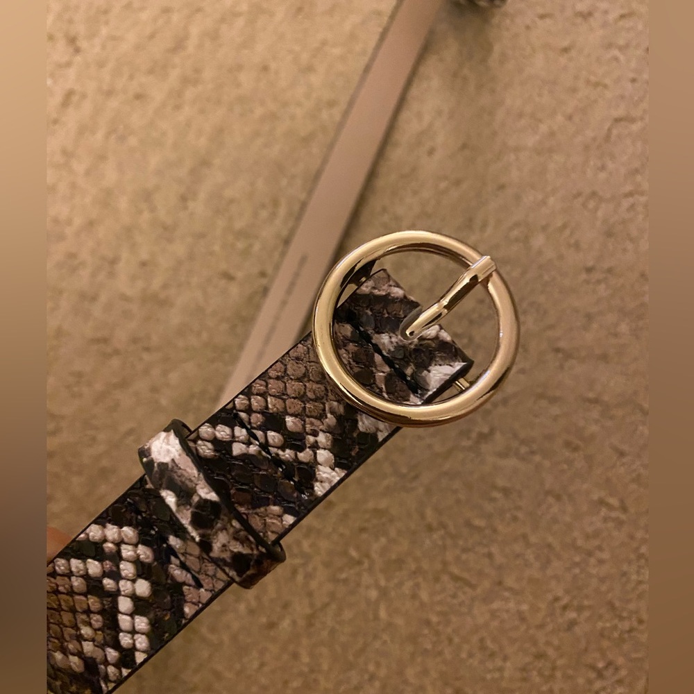 Snakeskin belt